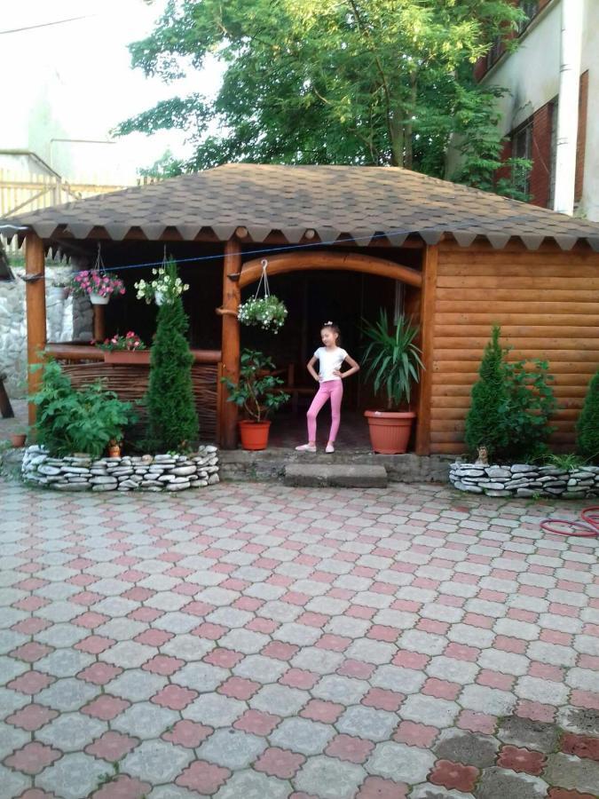 Над Вичов Volovets Esterno foto