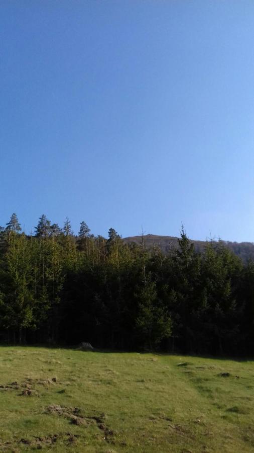 Над Вичов Volovets Esterno foto